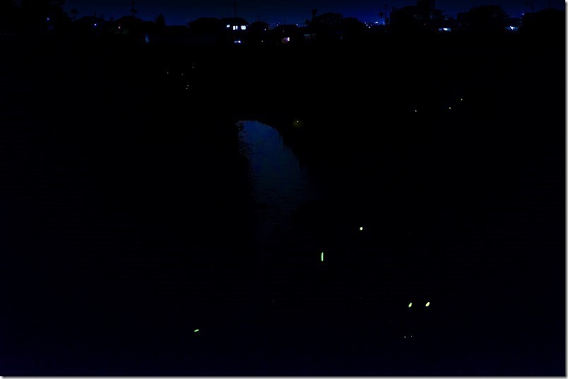 福岡市西区・糸島市の2020ホタル 福岡市西区・糸島市の2020ホタル