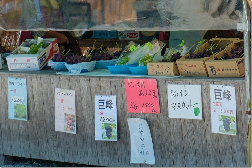 金武「ぶどう園」の価格・品種 金武「ぶどう園」の価格・品種