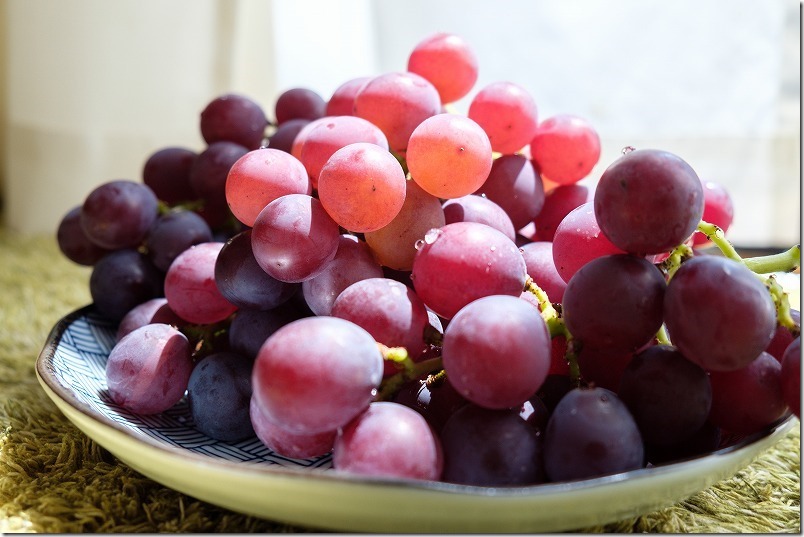 金武「ぶどう園」シナノスマイル 金武「ぶどう園」シナノスマイル