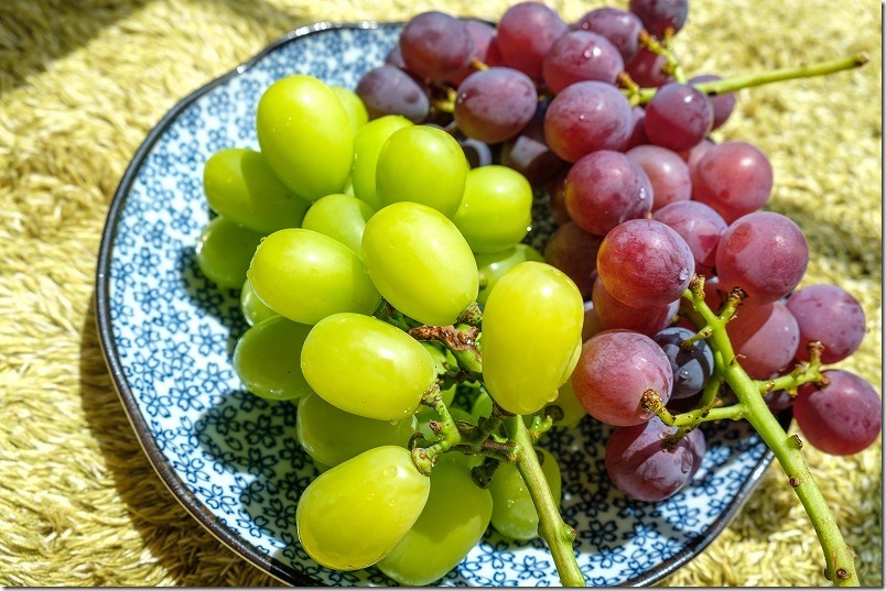 金武「ぶどう園」シャインマスカット 金武「ぶどう園」シャインマスカット