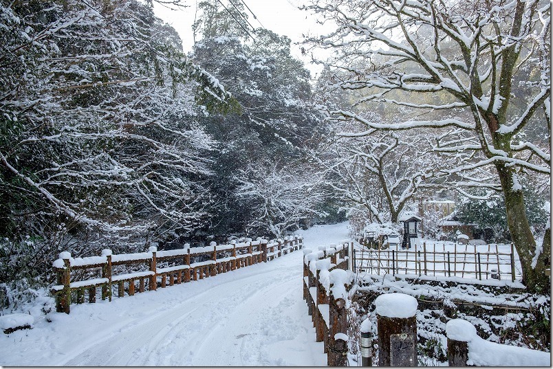 野河内渓谷への入り口付近の道路、雪