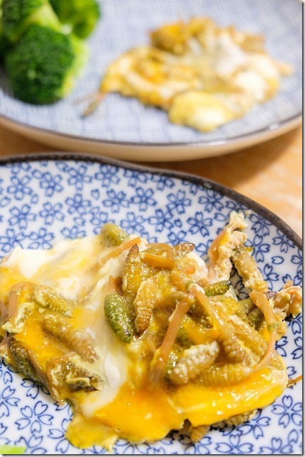 ツクシの卵とじ ツクシの卵とじ