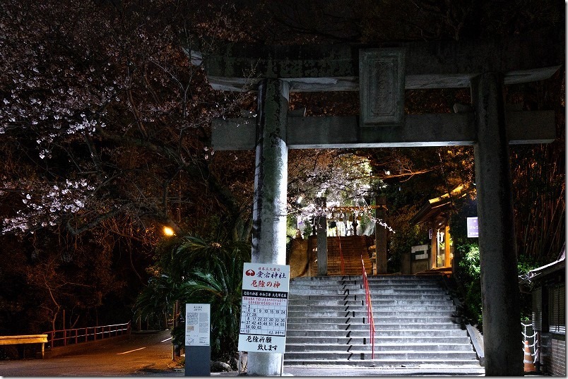愛宕神社の夜桜2021