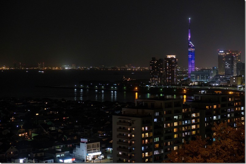 福岡タワーの夜景と桜模様