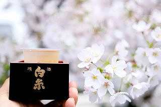 糸島のお肉・お酒・野菜！