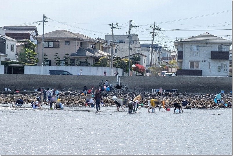 潮干狩りで室見川へ降りる場所