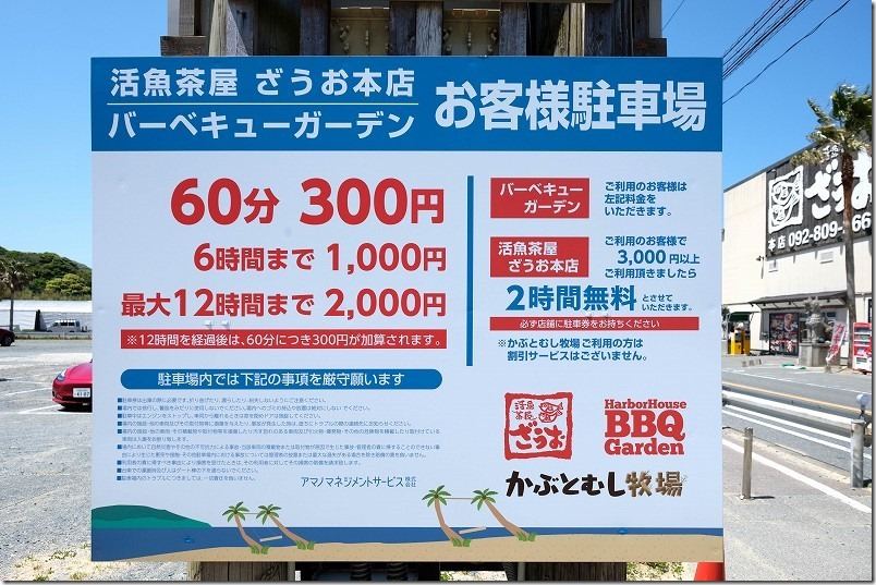 糸島ざうお本店のヤシの木ブランコ・サメ、駐車場料金 糸島ざうお本店のヤシの木ブランコ・サメ、駐車場料金