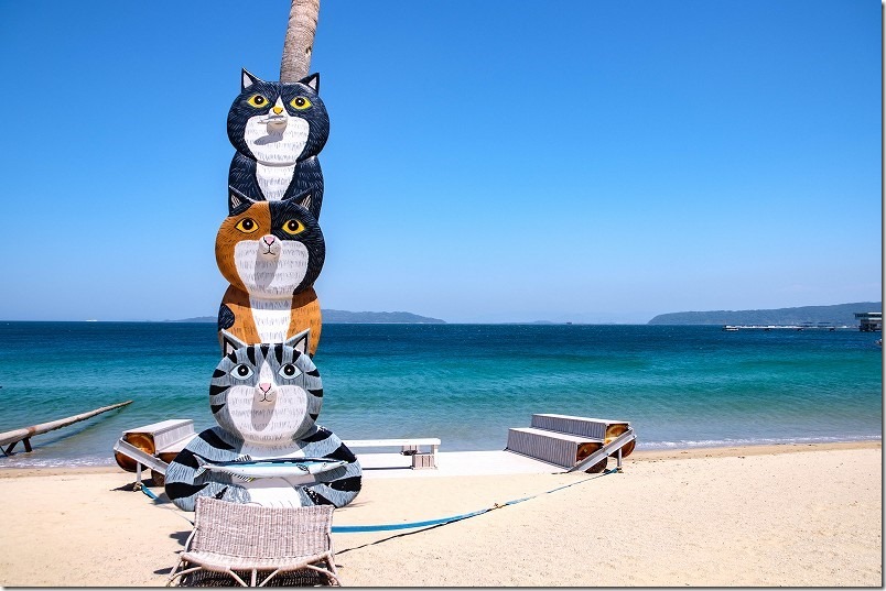 糸島、ざうお本店、猫オブジェ 糸島、ざうお本店、猫オブジェ