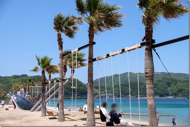 糸島こころ旅、ざうお本店・ヤシの木ブランコ、サメ 糸島こころ旅、ざうお本店・ヤシの木ブランコ、サメ