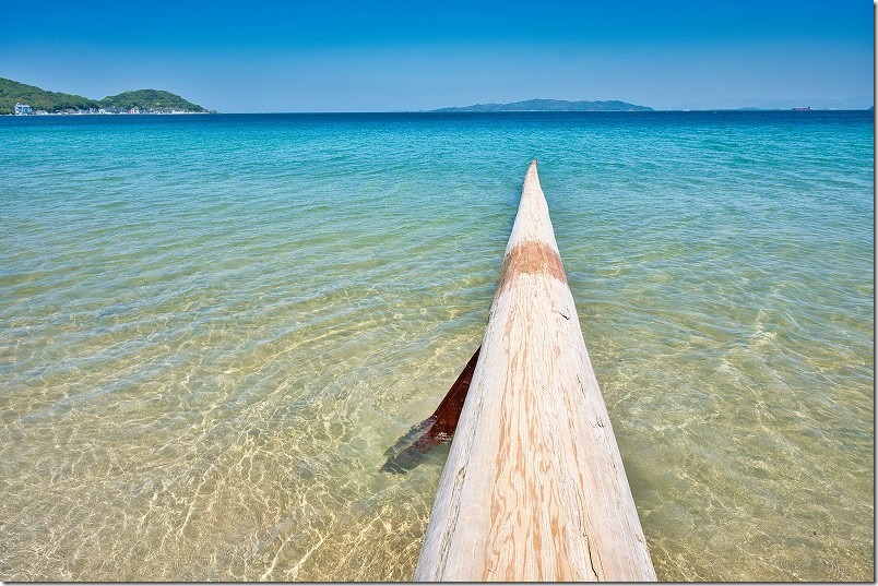 糸島こころ旅、ざうお本店・奇跡の流木 糸島こころ旅、ざうお本店・奇跡の流木