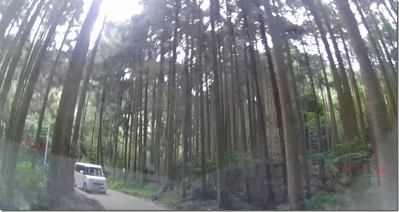 糸島・千寿院の滝へのアクセス・道(山道) 糸島・千寿院の滝へのアクセス・道(山道)