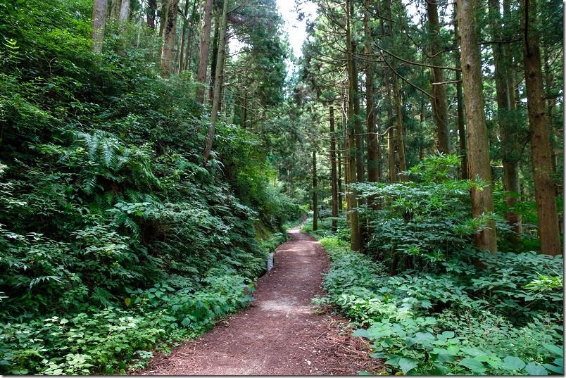 糸島・千寿院の滝の駐車場から滝壺までの道 糸島・千寿院の滝の駐車場から滝壺までの道
