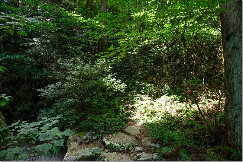 糸島・千寿院の滝の駐車場から滝壺までの道、山道 糸島・千寿院の滝の駐車場から滝壺までの道、山道