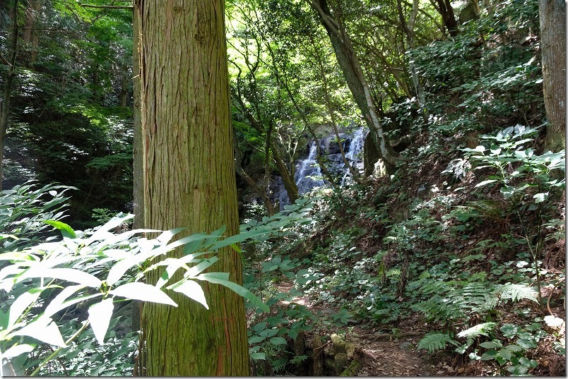 糸島・千寿院の滝の駐車場から滝壺までの道、滝が見えた 糸島・千寿院の滝の駐車場から滝壺までの道、滝が見えた