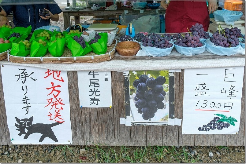 金武「ぶどう園」の価格・品種