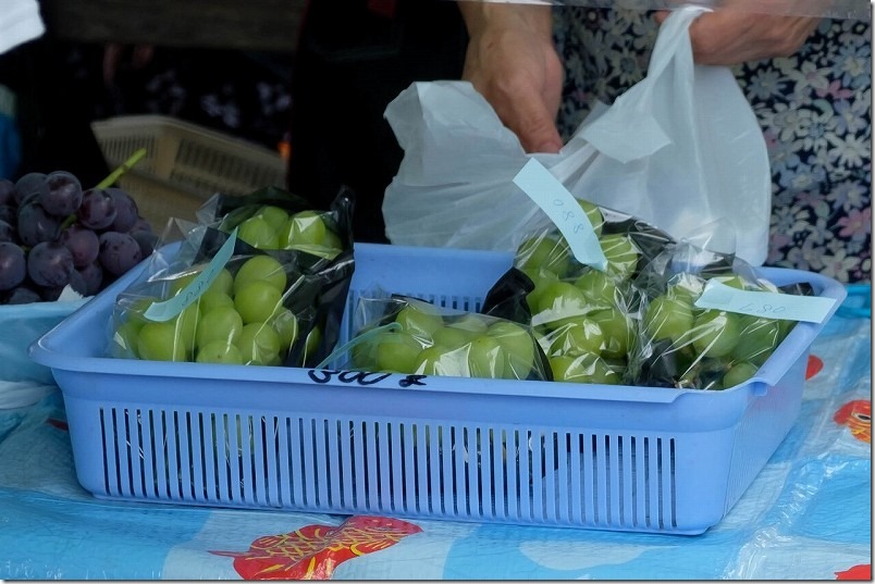 金武「ぶどう園」のお求めやすいシャインマスカット