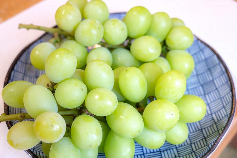 金武「ぶどう園」直売所