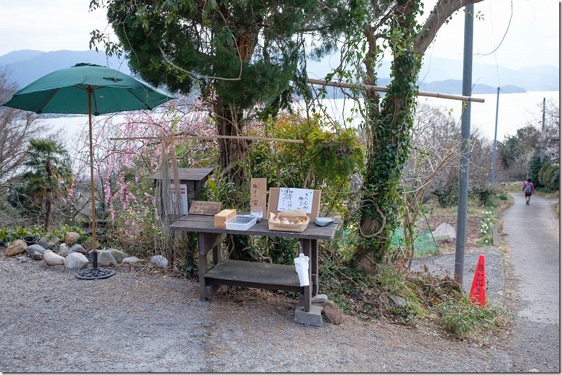 糸島、小富士梅林の梅とジャムを販売 糸島、小富士梅林の梅とジャムを販売