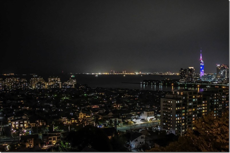 愛宕神社から見た福岡タワーの桜のイルミネーション 愛宕神社から見た福岡タワーの桜のイルミネーション