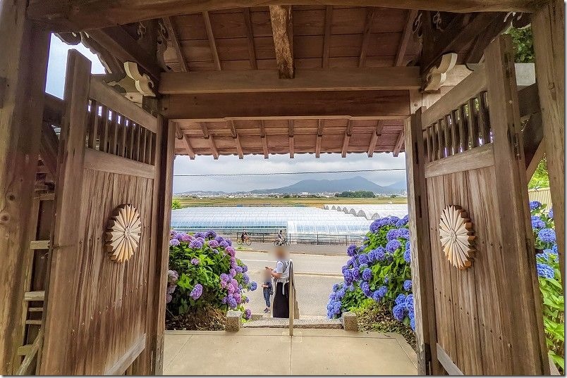 糸島、あじさい寺「ヲベタ清正公堂」の山門 糸島、あじさい寺「ヲベタ清正公堂」の山門