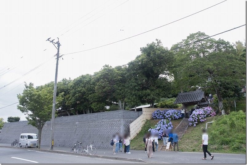 糸島、あじさい寺「ヲベタ清正公堂」 糸島、あじさい寺「ヲベタ清正公堂」