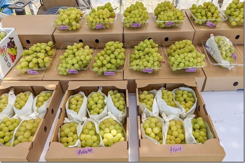 糸島、シャインマスカット直売所の価格