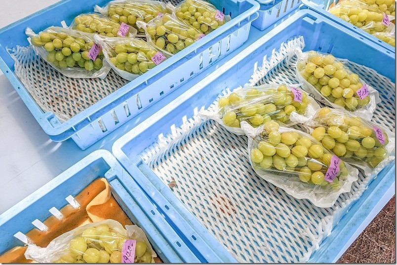 糸島、シャインマスカット直売所の価格