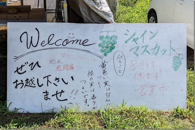 糸島,シャインマスカット直売所（福岡市西区元岡）、営業日