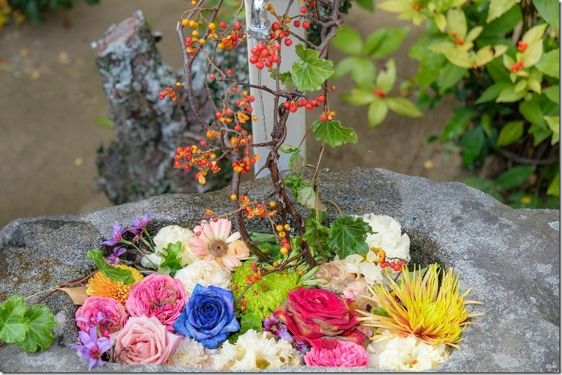 糸島 志々岐神社の花手水【糸島市志摩】 2022/11 糸島 志々岐神社の花手水【糸島市志摩】 2022/11