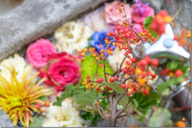 糸島 志々岐神社の花手水【糸島市志摩】 2022/11 糸島 志々岐神社の花手水【糸島市志摩】 2022/11