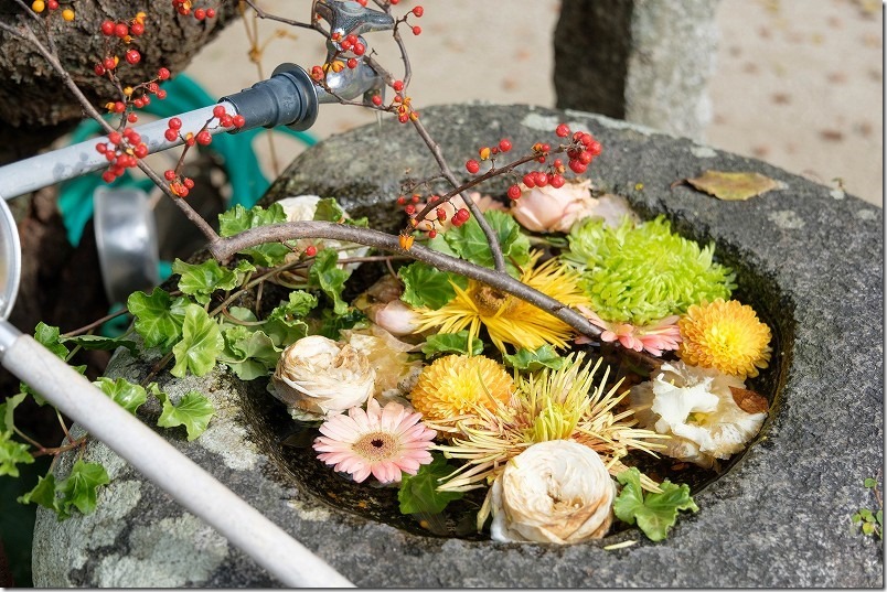 糸島 生松天神社の花手水【糸島市志摩】 2022/11 糸島 生松天神社の花手水【糸島市志摩】 2022/11