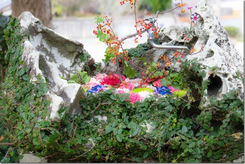 糸島 生松天神社の花手水【糸島市志摩】 2022/11 糸島 生松天神社の花手水【糸島市志摩】 2022/11
