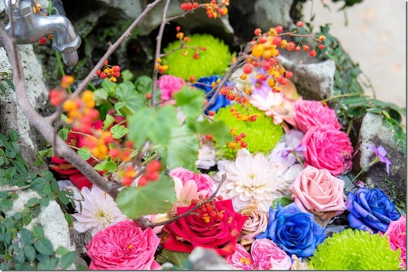 糸島 生松天神社の花手水【糸島市志摩】 2022/11 糸島 生松天神社の花手水【糸島市志摩】 2022/11