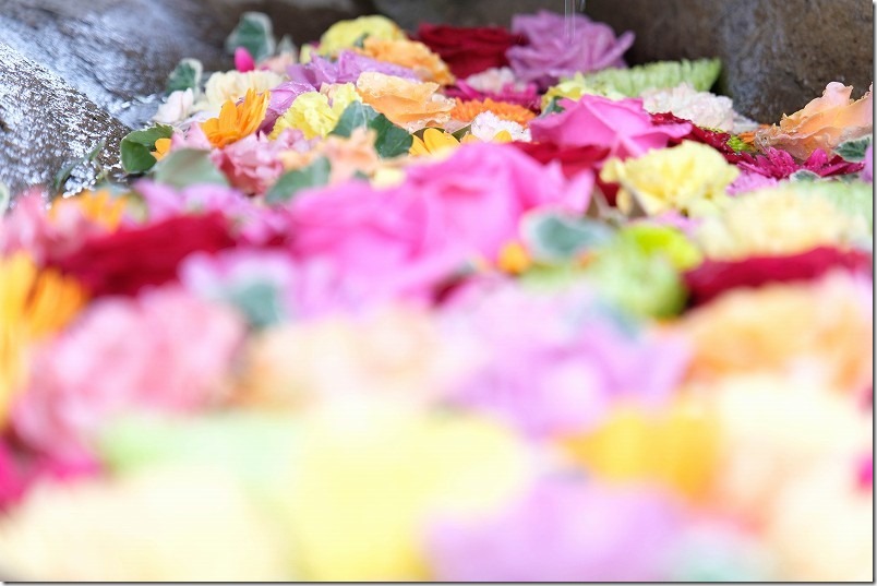 糸島 深江神社の花手水【糸島市二丈深江】 2022/11 糸島 深江神社の花手水【糸島市二丈深江】 2022/11