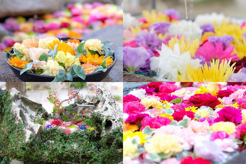 糸島花手水　糸島の神社巡り