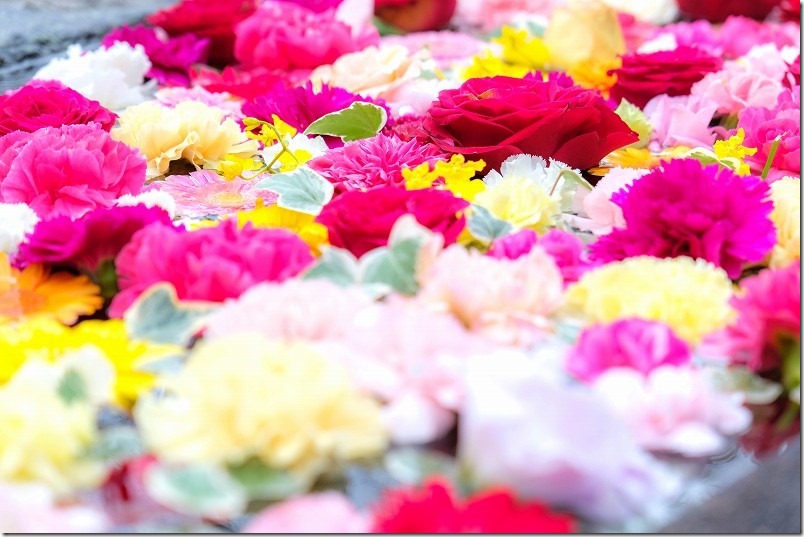 糸島 鎮懐石八幡宮の花手水【糸島市二丈深江】 2022/11 糸島 鎮懐石八幡宮の花手水【糸島市二丈深江】 2022/11