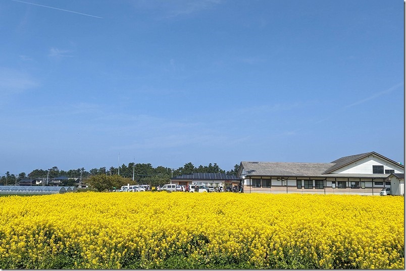 LT2-B-PXL_20230311_030200538 LT2-B-PXL_20230311_030200538