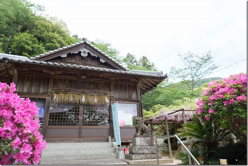 糸島 志々岐神社の藤棚の場所