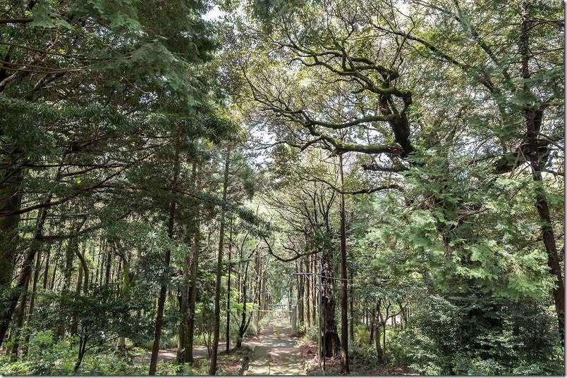 糸島,高祖神社の石畳の階段 糸島,高祖神社の石畳の階段