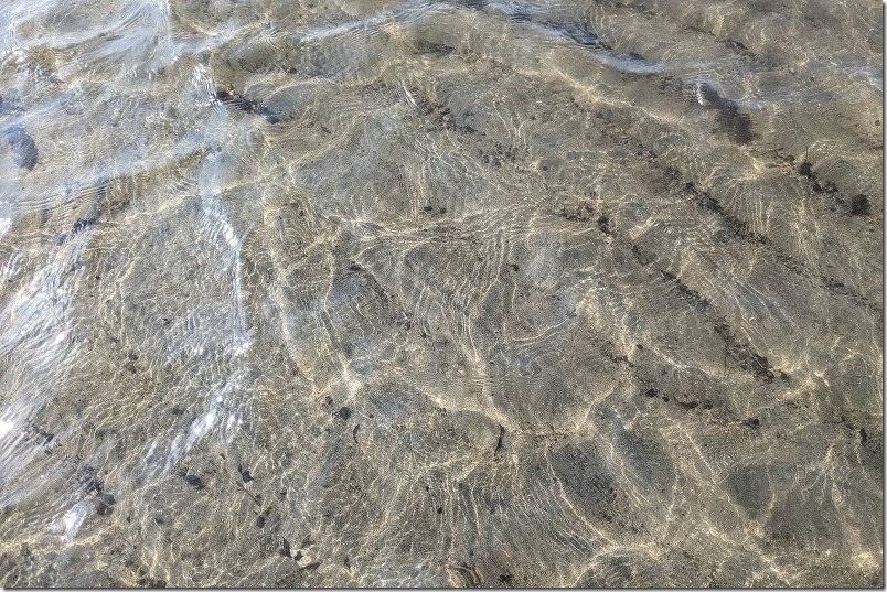 室見川で潮干狩り。綺麗な水 室見川で潮干狩り。綺麗な水