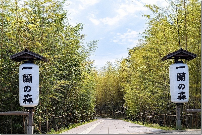 糸島、一蘭の森、入り口 糸島、一蘭の森、入り口