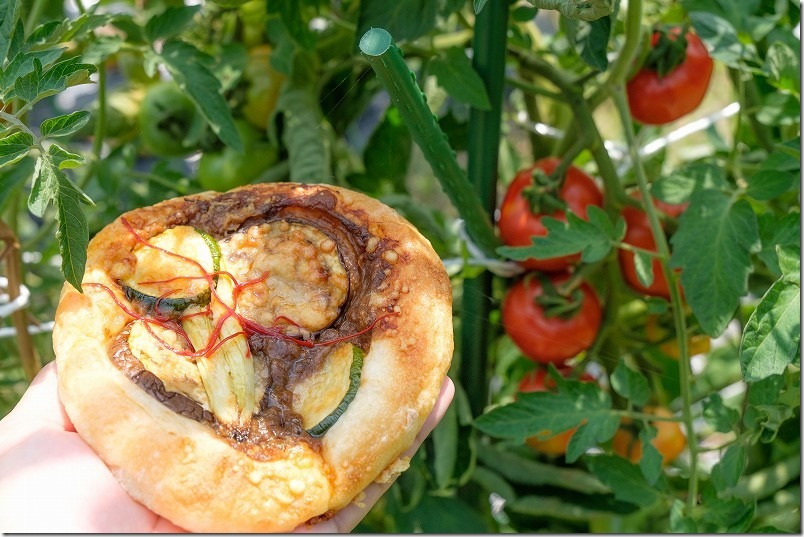 今宿、ケイゾウ ベーカリーのパン。夏野菜フォカッチャを食べてみた