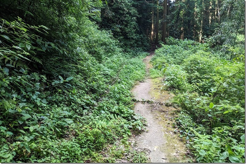 糸島市二丈波呂、鳴滝への遊歩道