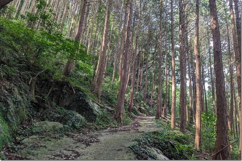 糸島市二丈波呂、鳴滝への遊歩道