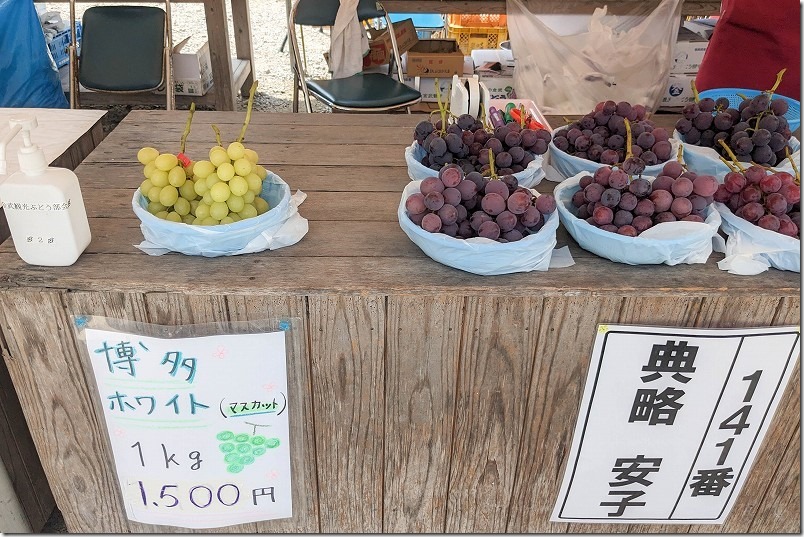 金武観光ぶどう直売所のぶどうの種類と品種、巨峰、博多ホワイト