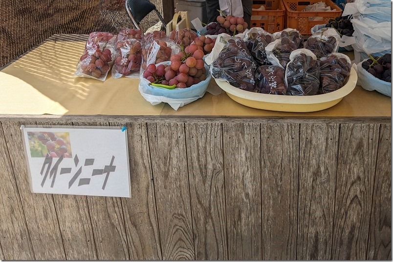 金武観光ぶどう直売所のぶどうの種類と品種、クインニーナ、シャインマスカット