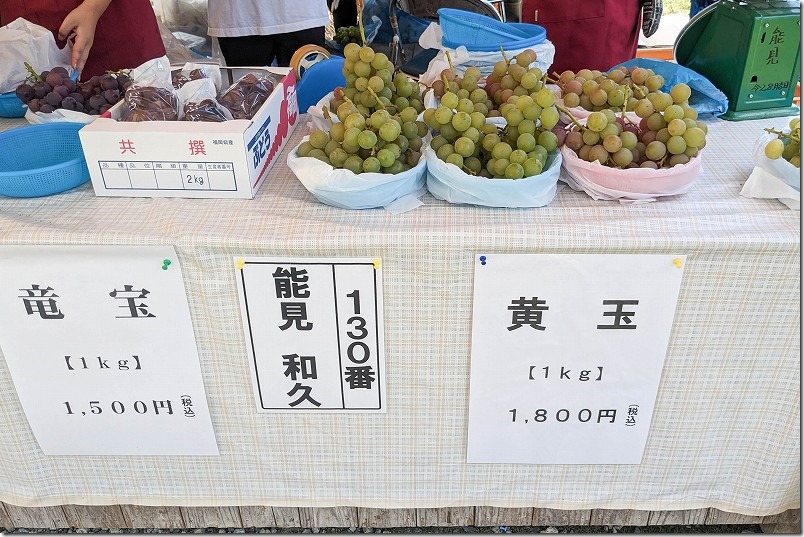 金武観光ぶどう直売所のぶどうの種類と品種、黄玉、竜宝