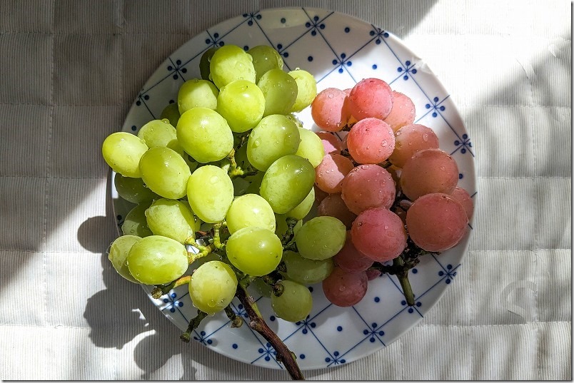 金武観光ぶどう直売所で購入したシャインマスカットとクイーンニーナを頂く