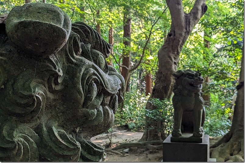 伊都国、宮地嶽神社の狛犬 伊都国、宮地嶽神社の狛犬
