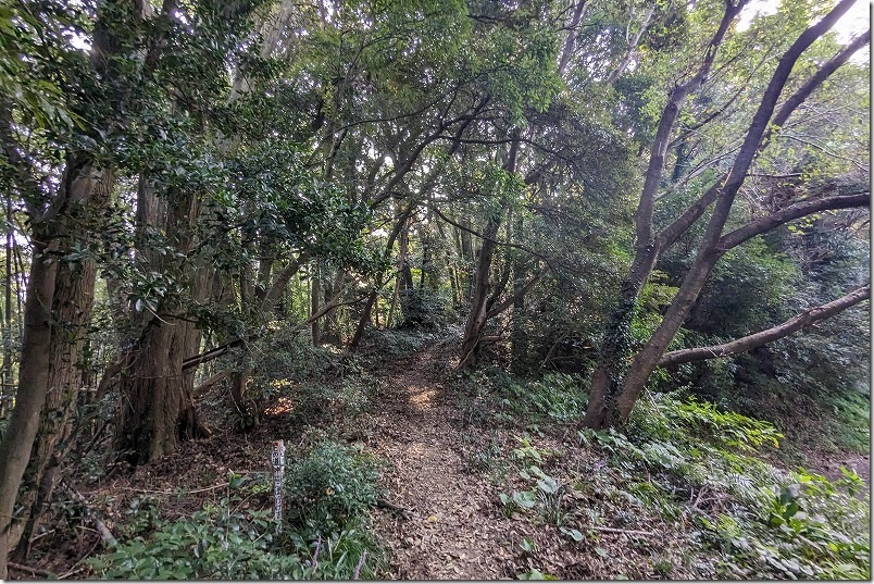 糸島、とっぺん展望台から頂上へ 糸島、とっぺん展望台から頂上へ